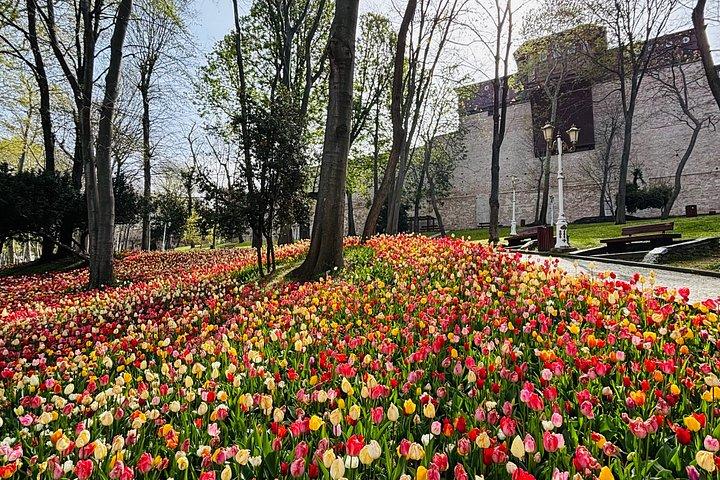 Best Tour Routes of lstanbul