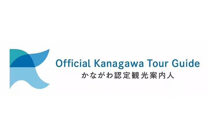 横浜プライベートアクセシブルカスタム英語ガイド付き車でのツアー