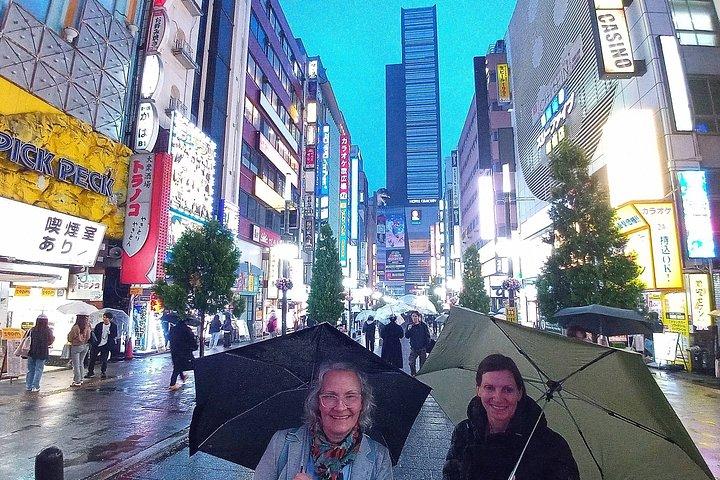 横浜＆東京港またはホテルからのベストオブ東京プライベートツアー