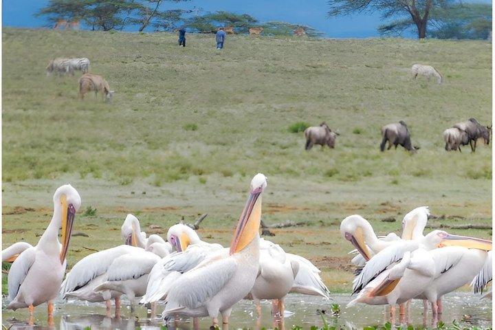 Naivasha See und Hellsgate Tagestour von Nairobi