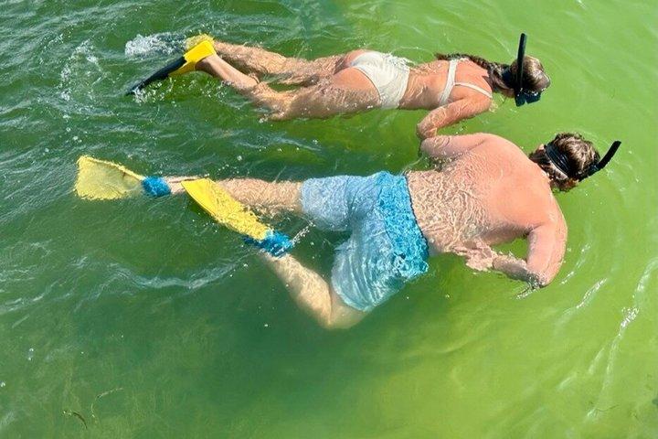 4 uur durende Egmont Key Island Tour met dolfijnen en snorkelen inbegrepen