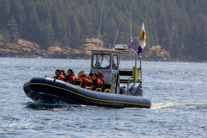 Campbell River, BC: Tour della fauna selvatica di 4 ore con Whale Watching