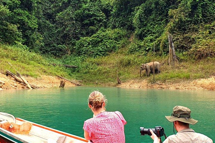 クラビ : チェウラン湖、ジャングルハイキング、ダイヤモンドケーブ、すべて含まれます