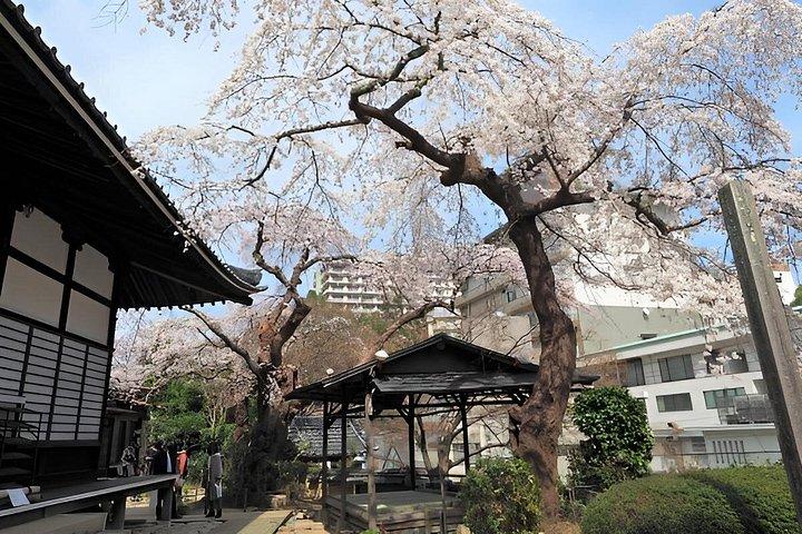 有馬温泉と六甲山観光付きプライベート神戸ツアー