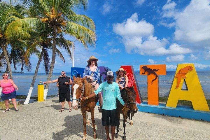 Roatan Create Your Itinerary -up to 12 pax