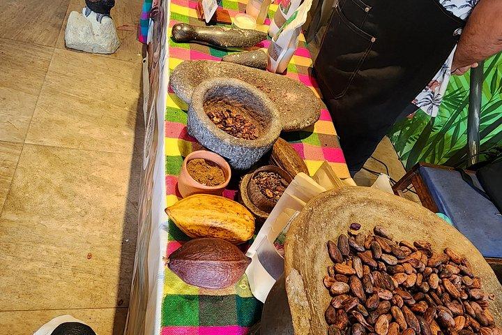 Roatan Create Your Itinerary -up to 12 pax