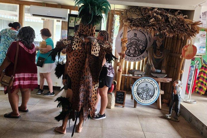 Roatan Create Your Itinerary -up to 12 pax
