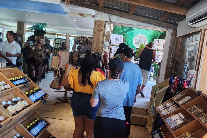 Roatan Create Your Itinerary -up to 12 pax