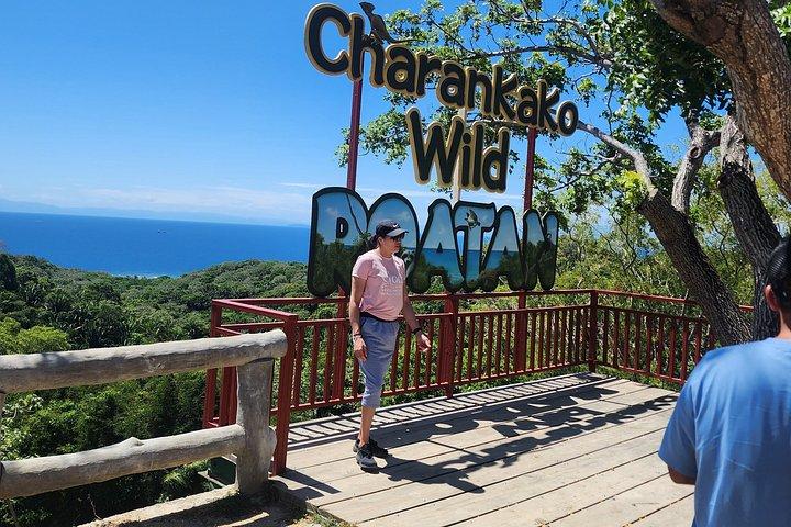 Roatan Create Your Itinerary -up to 12 pax