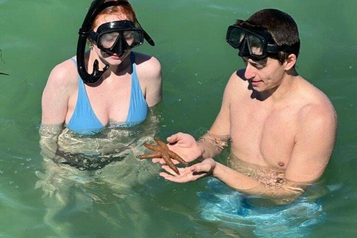 イルカと貝殻を含む2.5時間のシェルキーアイランドアドベンチャー