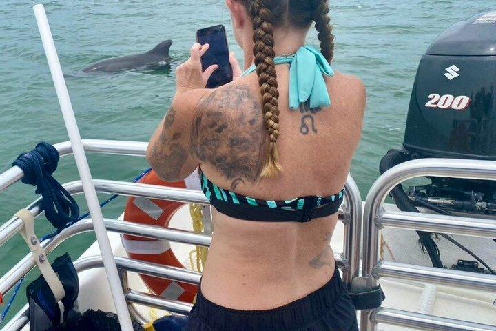 イルカと貝殻を含む2.5時間のシェルキーアイランドアドベンチャー