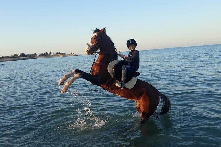 乗馬＆キャメルビーチ,砂漠,スイム,サンライズ＆サンセット-フルガダ