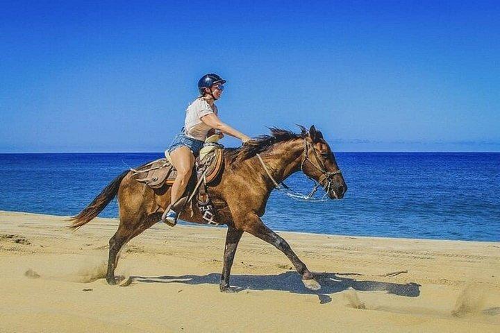 乗馬＆キャメルビーチ,砂漠,スイム,サンライズ＆サンセット-フルガダ