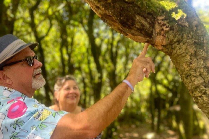 Tour privato di Sintra e Cascais con Regaleira e Cabo da Roca