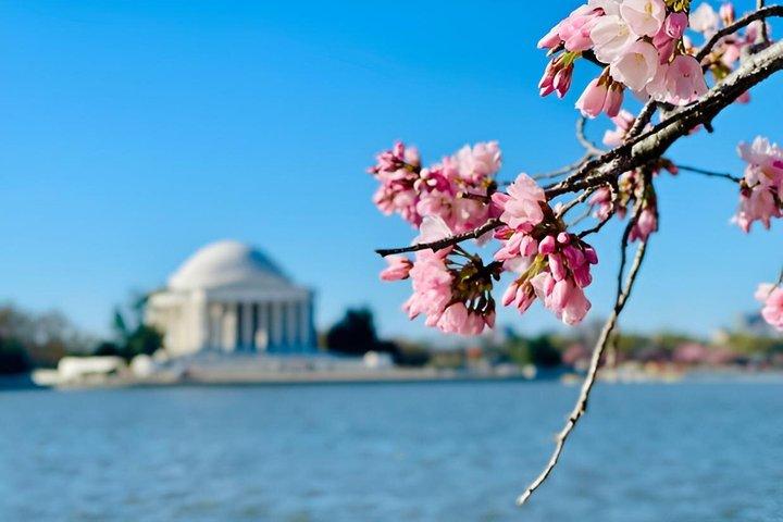 Washington DC Golf Cart Tour – Monuments (2 Hours)