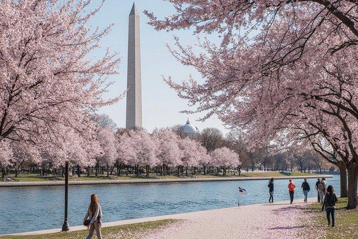 Washington DC Golf Cart Tour – Monuments (2 Hours)