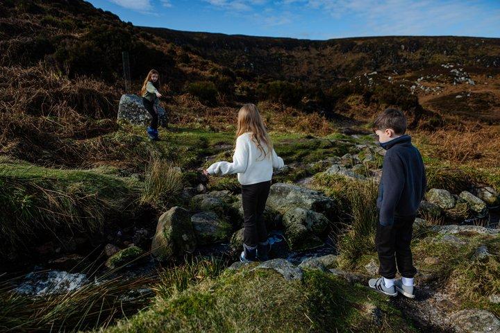 Private Day Tour in Wicklow Mountains and Vacation Photography