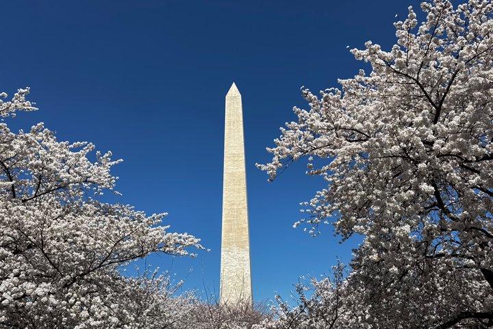 Kleine Gruppe Washington DC Tour mit Wachwechsel