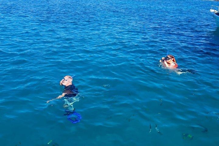 Pelican Rock Snorkeling and Sightseeing Adventure