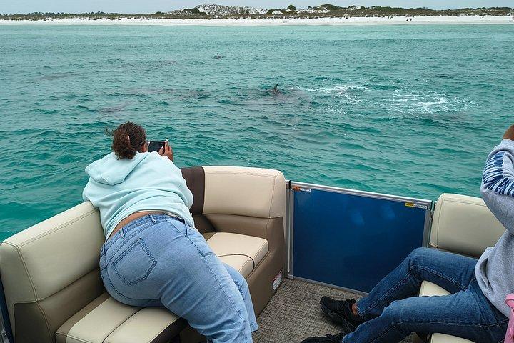 Exciting Private Dolphin Excursion to Shell Island 90 Minutes