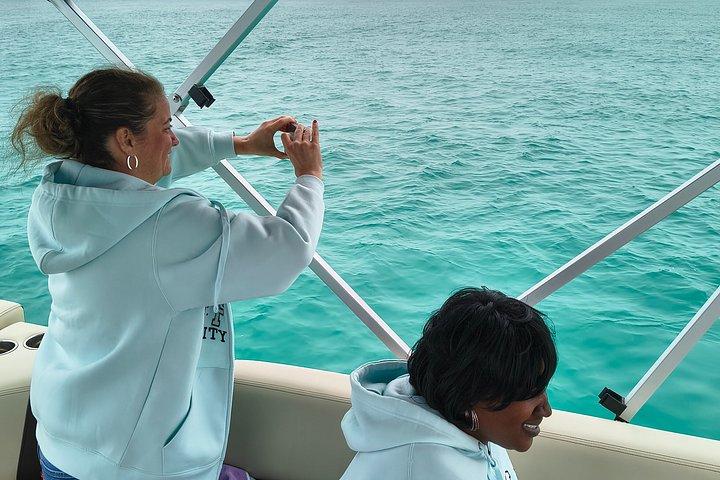 Exciting Private Dolphin Excursion to Shell Island 90 Minutes