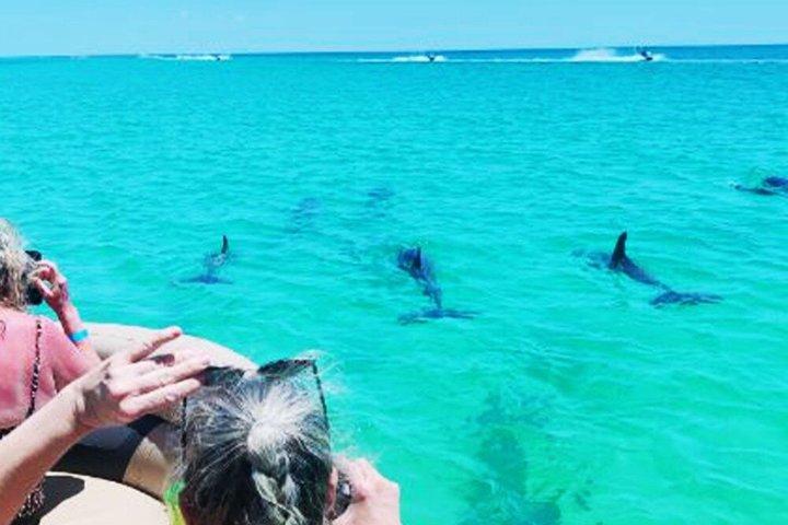 2 Hour Private Dolphin Tour at Panama City Beach