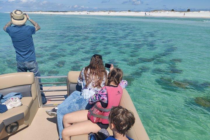 2 Hour Private Dolphin Tour at Panama City Beach