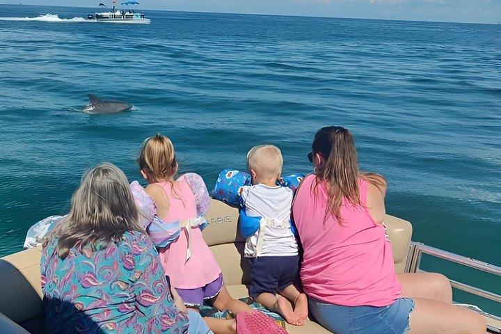 2 Hour Private Dolphin Tour at Panama City Beach