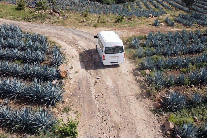 Privé Tequila Tour distilleerderijen en proeverijen in Jalisco