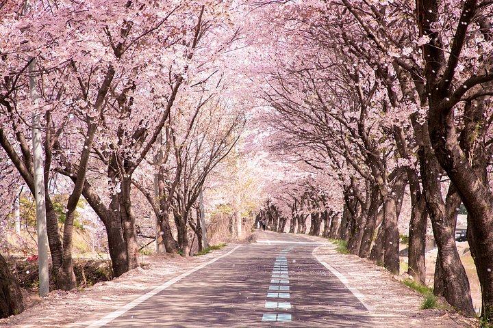 札幌発 登別・洞爺湖・ニセコ満喫一日ツアー