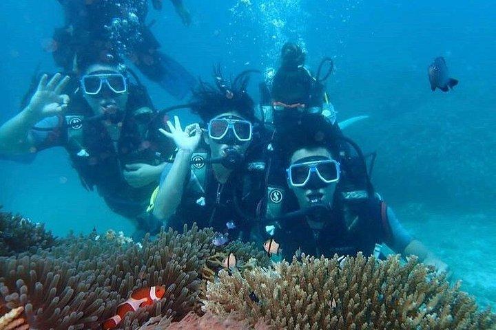 紅海一日ダイビング（送迎付き）とランチフルガダ