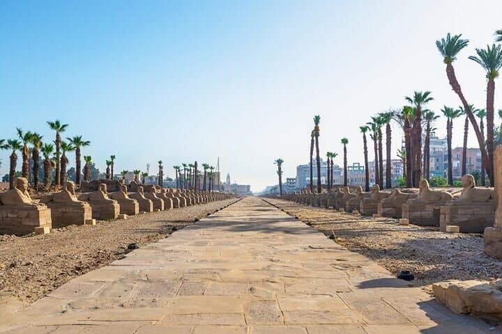 Luxor Half Day tour: Karnak and Luxor Temples