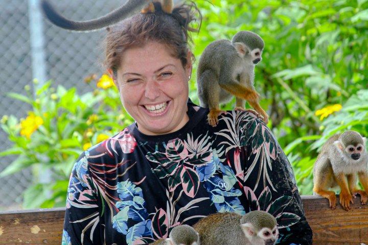 2x1: Monkeys Land Plus Drive en Dune Buggy i Puerto Plata