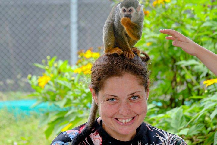 2x1 : Monkeys Land Plus Drive a Dune Buggy à Puerto Plata