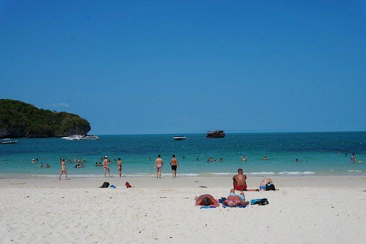 Koh Samui: Experiência de catamarã Premium no Angthong Marine Park