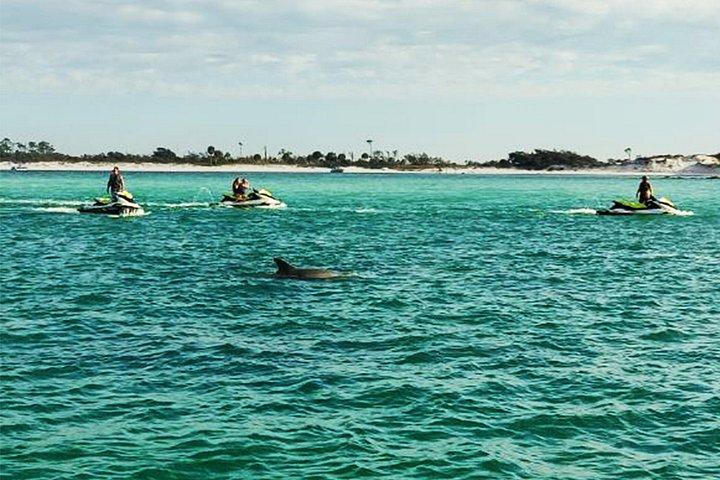2 timers jet ski delfin tur til Shell Island
