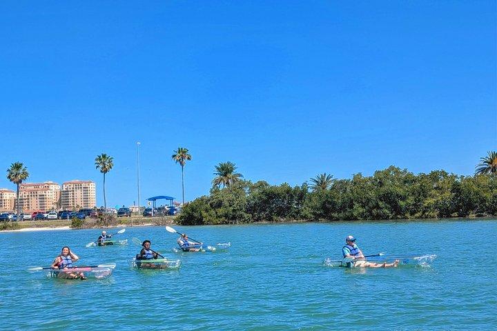 Clear Kayak Adventure on Clearwater Beach