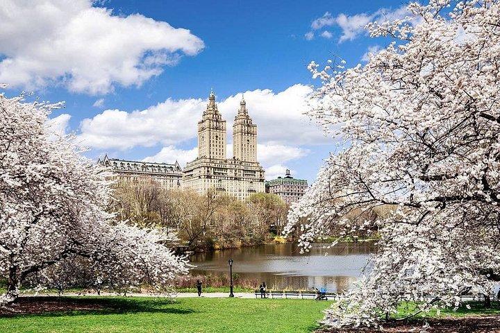 Central Park Pedicab Tour med lokal guide