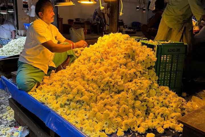チェンナイ市内観光:2時間のガイド付きウォーキングツアー