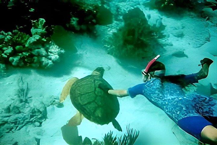 ダナン発チャム島ダブルシュノーケリングアドベンチャー