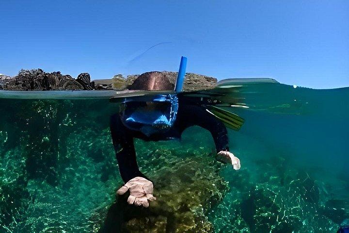 ダナン発チャム島ダブルシュノーケリングアドベンチャー