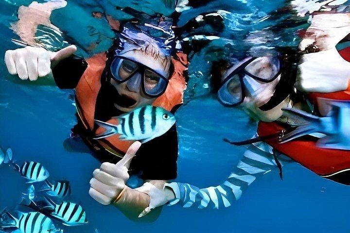 ダナン発チャム島ダブルシュノーケリングアドベンチャー