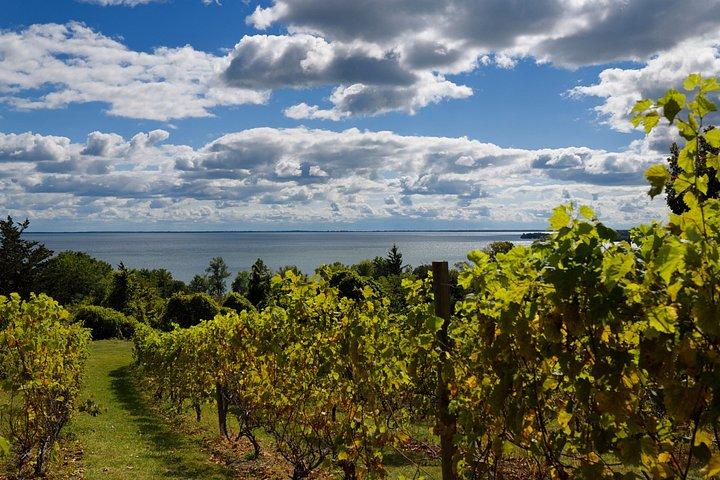 Prince Edward County Private Day Tour from Toronto