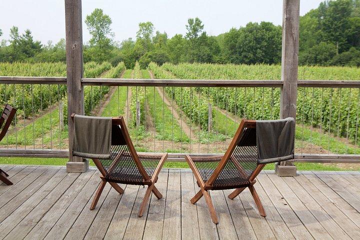 Prince Edward County Private Day Tour from Toronto