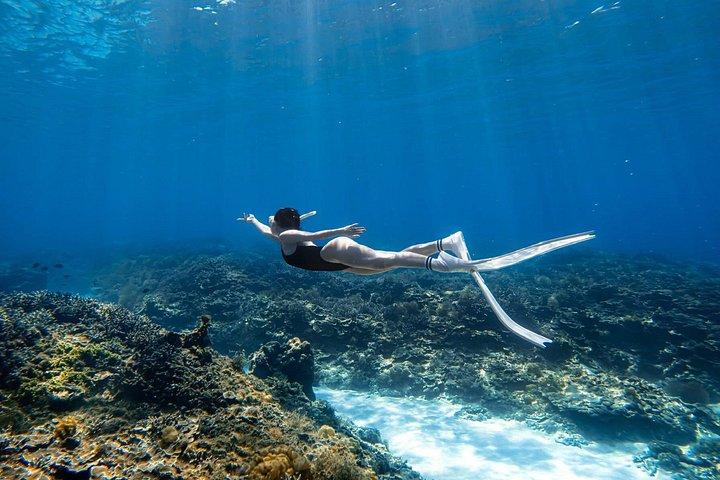 3 - デイフークイとムイネーアドベンチャー：ビーチ、砂丘、島の生活