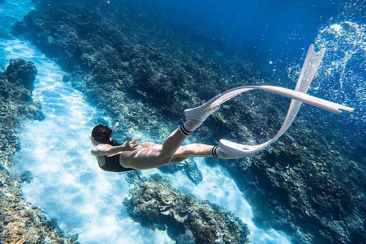 3 - デイフークイとムイネーアドベンチャー：ビーチ、砂丘、島の生活