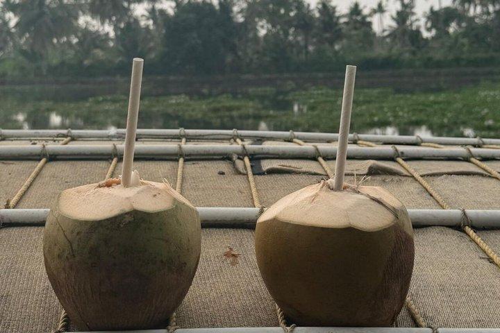 高知 ： 「 しからクルーズ」で行くくまらこむ日帰り旅行＆その他