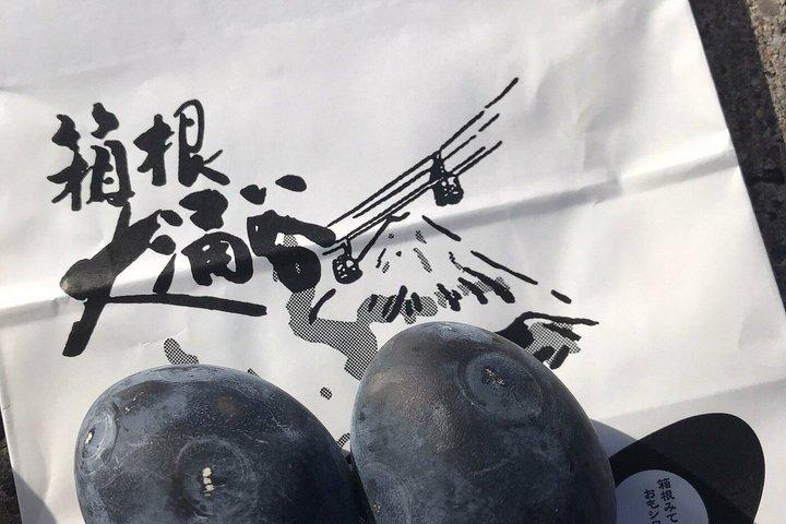 富士山、箱根、大涌谷、忠霊塔、忍野八海