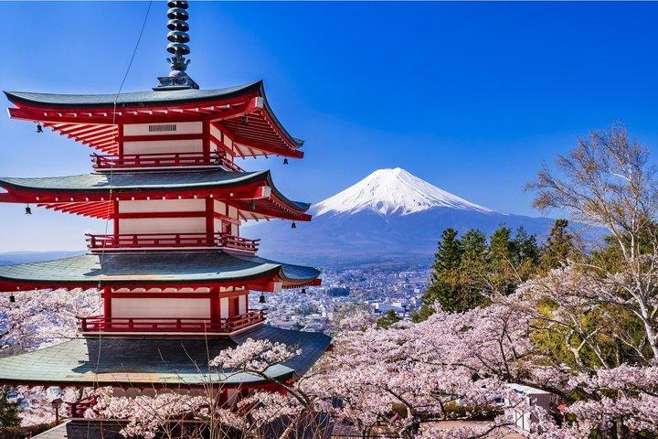 富士山、箱根、大涌谷、忠霊塔、忍野八海