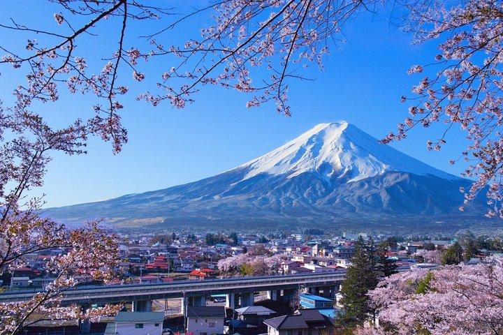 富士山、箱根、大涌谷、忠霊塔、忍野八海